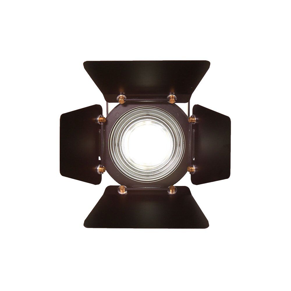 EverSirius 100W Fresnel (1)