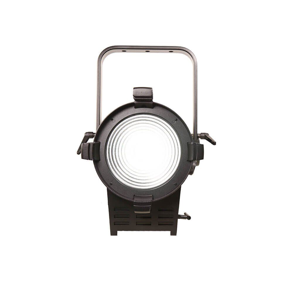 Bi-Color LED Fresnel 350W Elite300 (1)